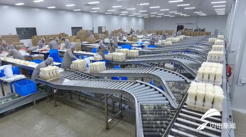 科技扶貧新起點(diǎn)，鄉(xiāng)村振興新篇章——2019年山東農(nóng)業(yè)科技服務(wù)(扶貧)月啟動(dòng)儀式在鄒城盛大舉行